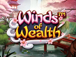 Preview image of Winds of Wealth