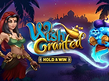 Preview image of Wish Granted