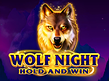 Preview image of Wolf Night