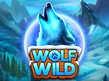 Preview image of Wolf Wild