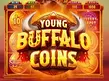 Aperçu de Young Buffalo Coins