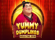 Preview image of Yummy Dumplings Hold the Spin