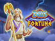 Aperçu de Zeus Fortune