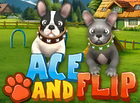 Jeu similaire
