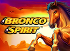 Bronco Spirit