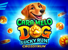 Caramelo Dog Lucky Run