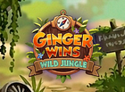 Similar game