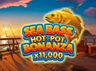 Sea Bass Hot Pot Bonanza