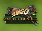 Slingo Constitution Hill