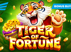 Similar game