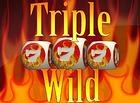 Triple Wild Dices
