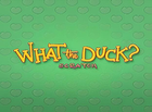 What the Duck