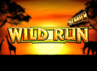 Wild Run Scratch