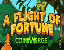 Preview image of A Flight of Fortune