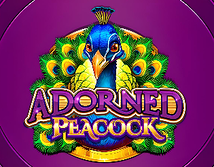 Preview image of Adorned Peacock