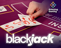 Preview image of Amazing Gaming Blackjack