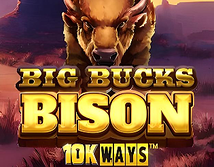 Preview image of Big Bucks Bison 10k Ways