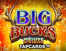 Preview image of Big Bucks Deluxe Tapcards