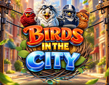 Vorschaubild von Birds in The City