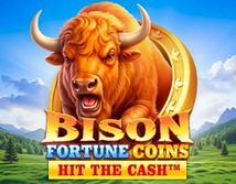 Aperçu de Bison Fortune Coins