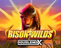 Preview image of Bison Wilds DoubleMax