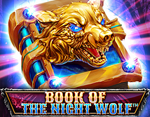 Book of The Night Wolf