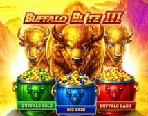 Buffalo Blitz 3