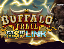 Aperçu de Buffalo Trail Cash Mesh LINK