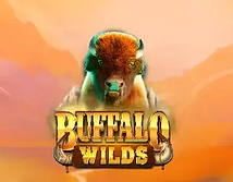 Buffalo Wilds