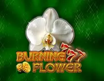 Preview image of Burning Flower