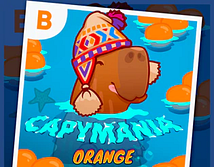 Aperçu de Capymania Orange