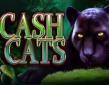 Preview image of Cash Cats