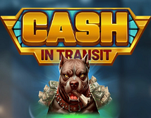 Предварительный просмотр Cash in Transit