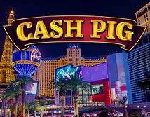 Cash Pig