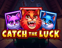 Preview image of Catch the Luck