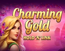 Preview image of Charming Gold Hold n Link