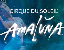 Preview image of Cirque du Soleil Amaluna
