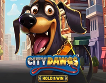 Preview image of City Dawgs Hold and Win