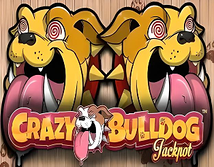 Preview image of Crazy Bulldog