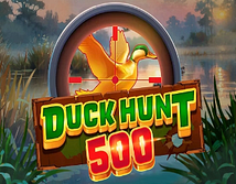 Preview image of Duck Hunt 500