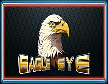 Eagle Eye