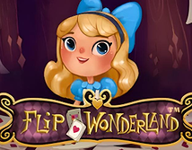 Flip Wonderland