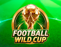 Vista previa de Football Wild Cup