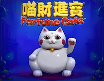 Fortune Cats