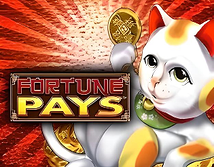 Preview image of Fortune Pays
