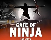 Preview image of Gate of Ninja