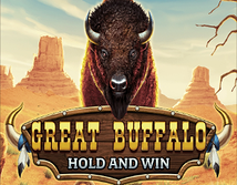 Preview image of Great Buffalo Hold and Win