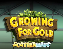 Preview image of Growing for Gold