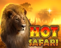 Hot Safari