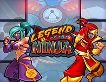 Preview image of Legend of the Ninja